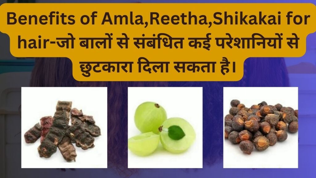 Benefits of Amla,Reetha,Shikakai for hair-which can provide relief from many hair related problems.